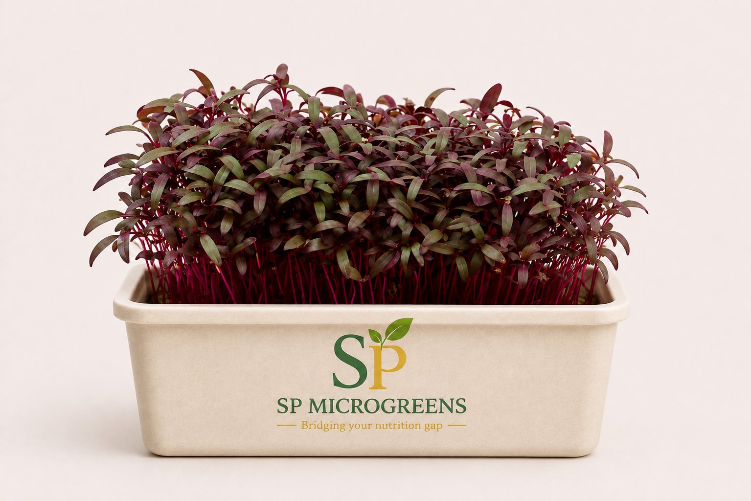 Red Amaranth